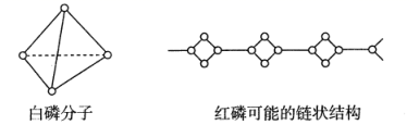 图片_x0020_100005