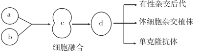 图片_x0020_100006