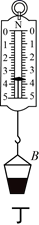 图片_x0020_100045