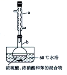 图片_x0020_100008