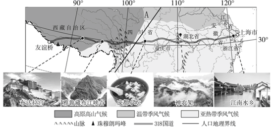 图片_x0020_100010