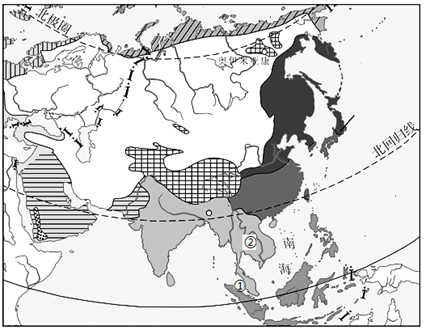 图片_x0020_1339786635