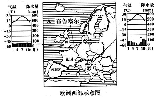图片_x0020_1096606553