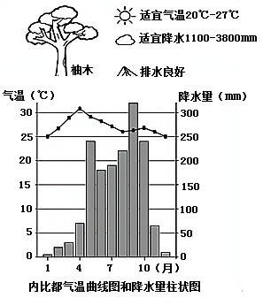 图片_x0020_100015