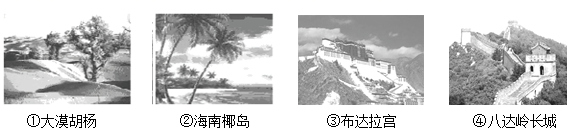 图片_x0020_100009