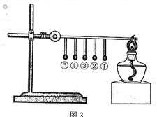 图片_x0020_100009