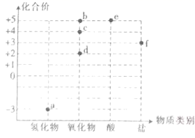 图片_x0020_100016