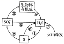 图片_x0020_100005