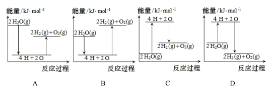 图片_x0020_100020