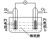 图片_x0020_100021