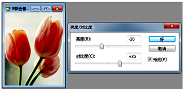 图片_x0020_100020