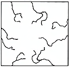 图片_x0020_100007
