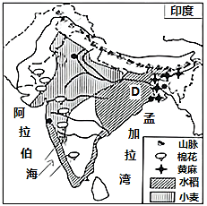 图片_x0020_532533126