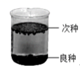 图片_x0020_100024
