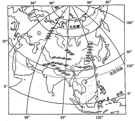图片_x0020_100006