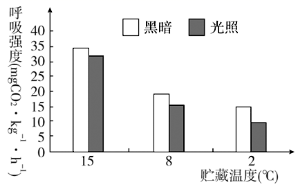 图片_x0020_1719040426