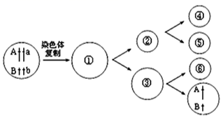 图片_x0020_486758026