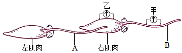 图片_x0020_312563777