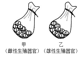 图片_x0020_100001