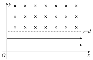 图片_x0020_100016