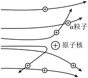 图片_x0020_100001