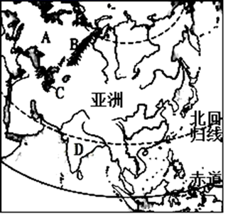 图片_x0020_100015