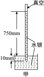 图片_x0020_100003