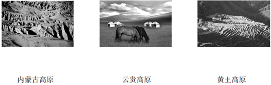 图片_x0020_1233792242