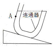 图片_x0020_1572719572