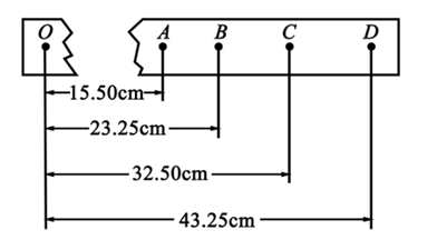 图片_x0020_100020