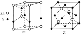 图片_x0020_1035868346