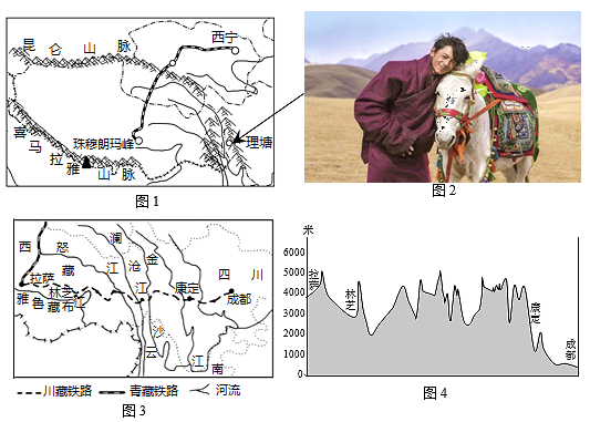 图片_x0020_2024515598