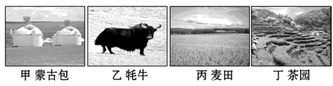 图片_x0020_100002