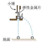 图片_x0020_100010