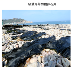 图片_x0020_100018
