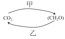 图片_x0020_913278699