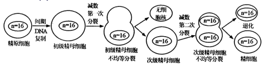 图片_x0020_100007