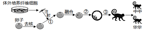 图片_x0020_100005