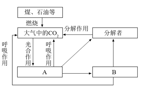 图片_x0020_100008