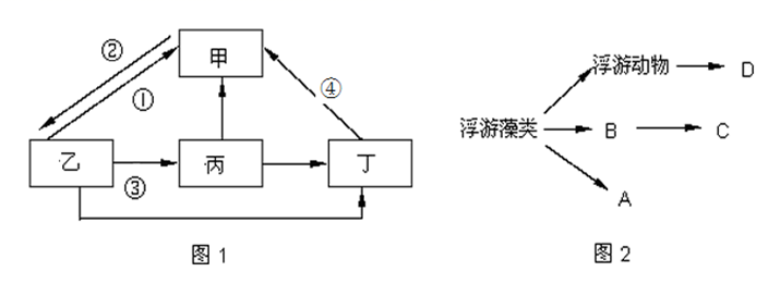 图片_x0020_911756114