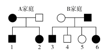图片_x0020_343053253