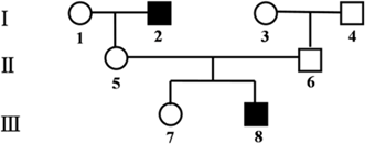 图片_x0020_100018