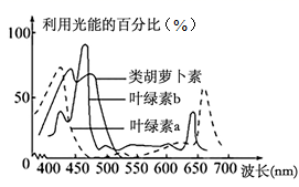 图片_x0020_100002
