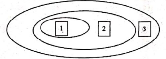_x0000_i1025