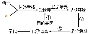 图片_x0020_100007