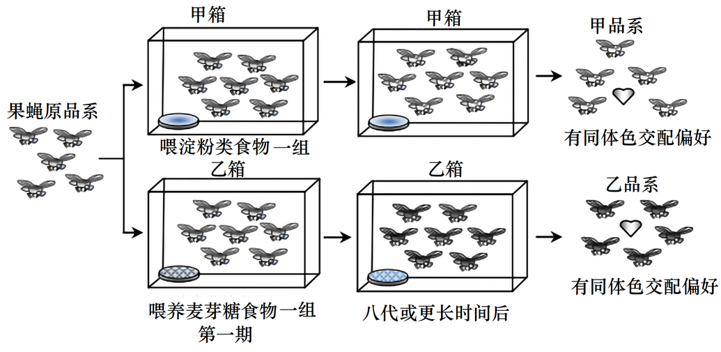 图片_x0020_100013