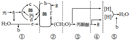 图片_x0020_100011
