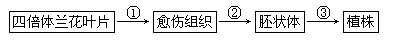 图片_x0020_100007
