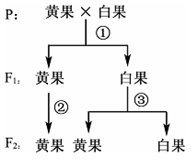 图片_x0020_100009