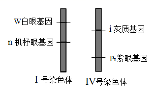 图片_x0020_100022